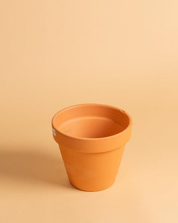 Vaso Barro standard 14cm