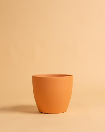 Vaso Barro Tulipa 14cm