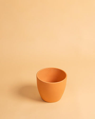 Vaso Barro Tulipa 14cm