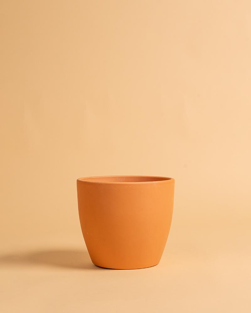 Vaso Barro Tulipa 20cm