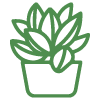 Plantas