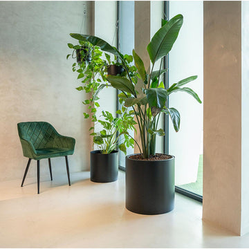 decoracao-escritorios-plantas-naturais-criaverde2025-01