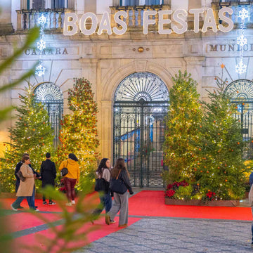 decoracao-natal-empresa-plantas-municipio-criaverde