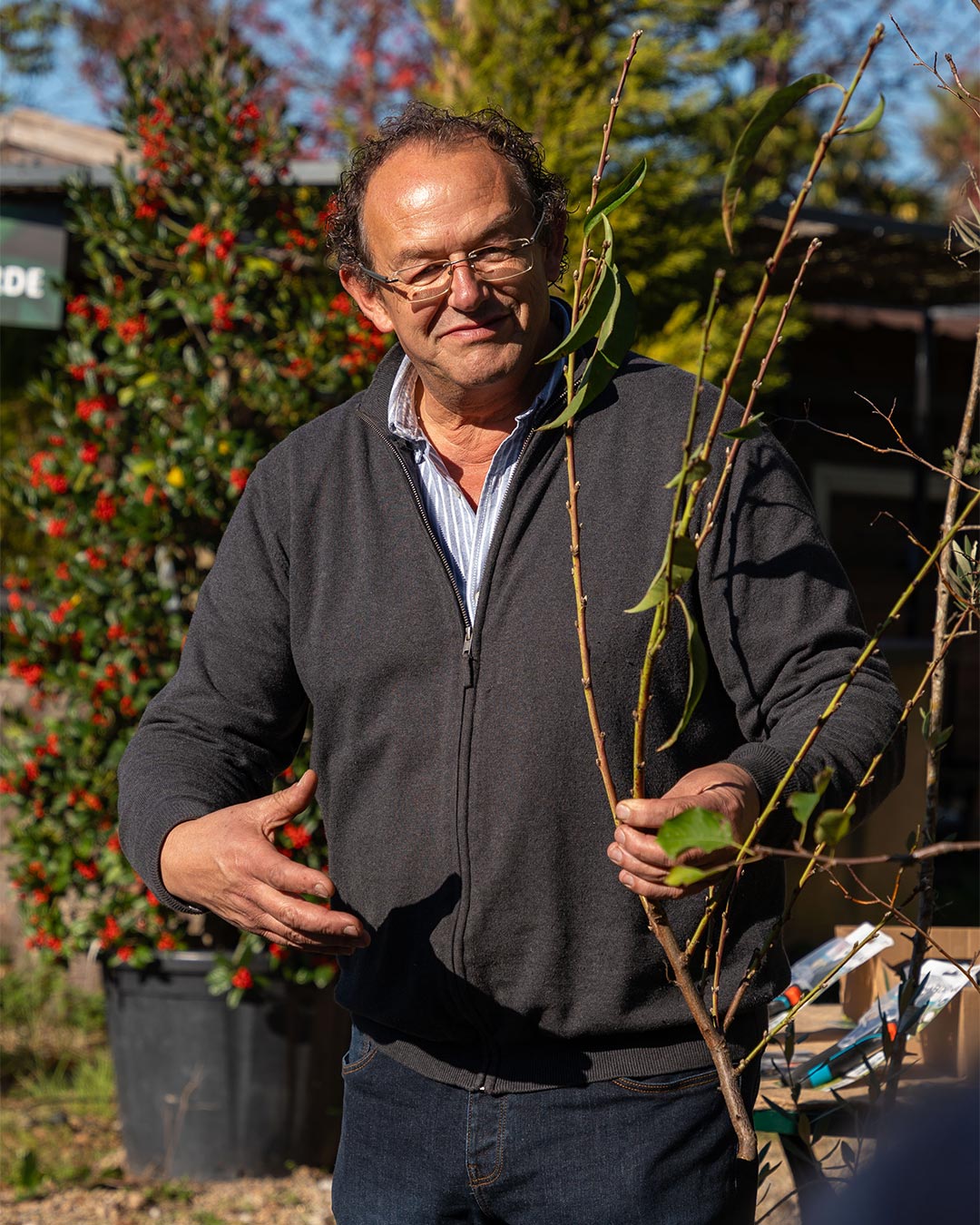 Engº António Figueiredo - Podas e Enxertos