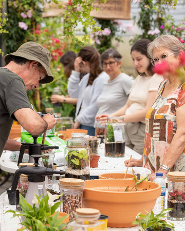 Workshop Terrários