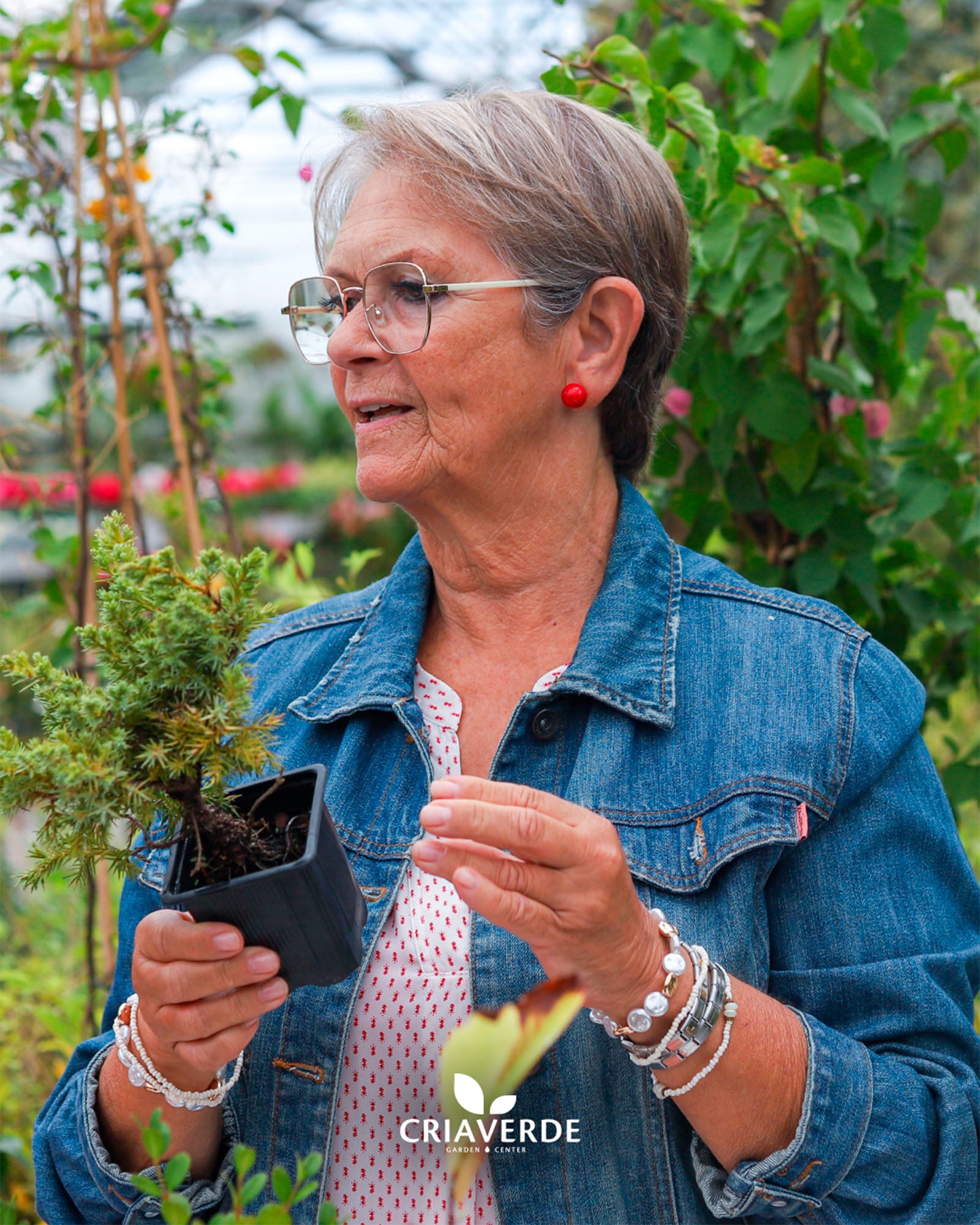 workshop-bonsais-gabriel-siro-criaverde