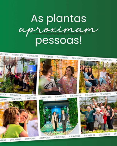 as-plantas-aproximam-pessoas-criaverde-2025-campanha