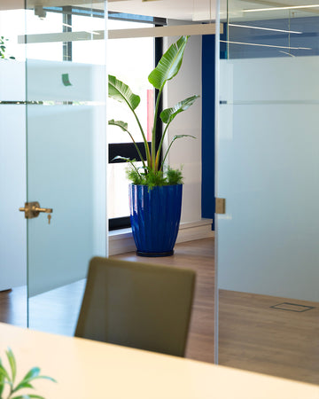 melhores-plantas-escritorio-empresas-trabalho-criaverde-orcamento-cowork