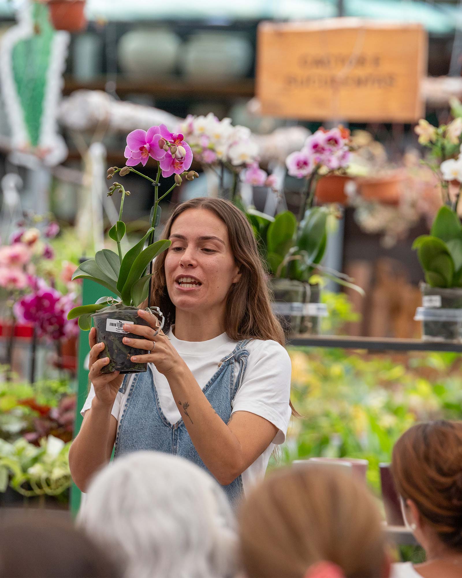 workshop-orquideas-tripeirinha-criaverde
