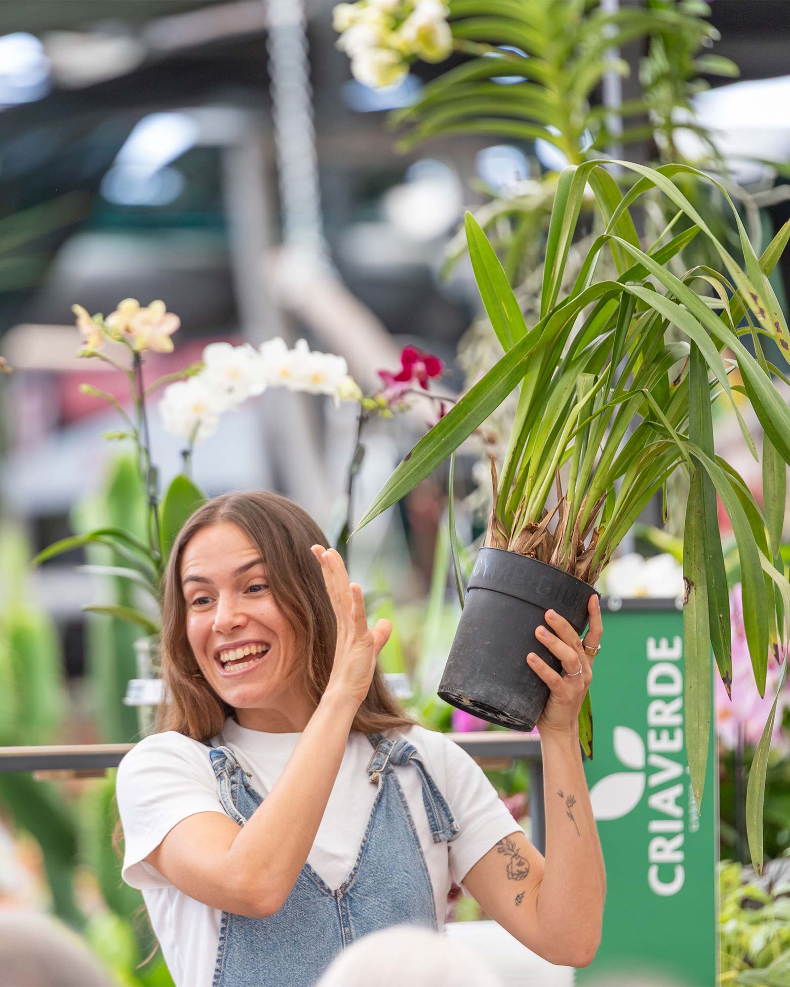 workshop-orquideas-tripeirinha-artevasi-criaverde