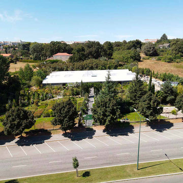 viso-loja-garden-criaverde-plantas-viseu-localizacao