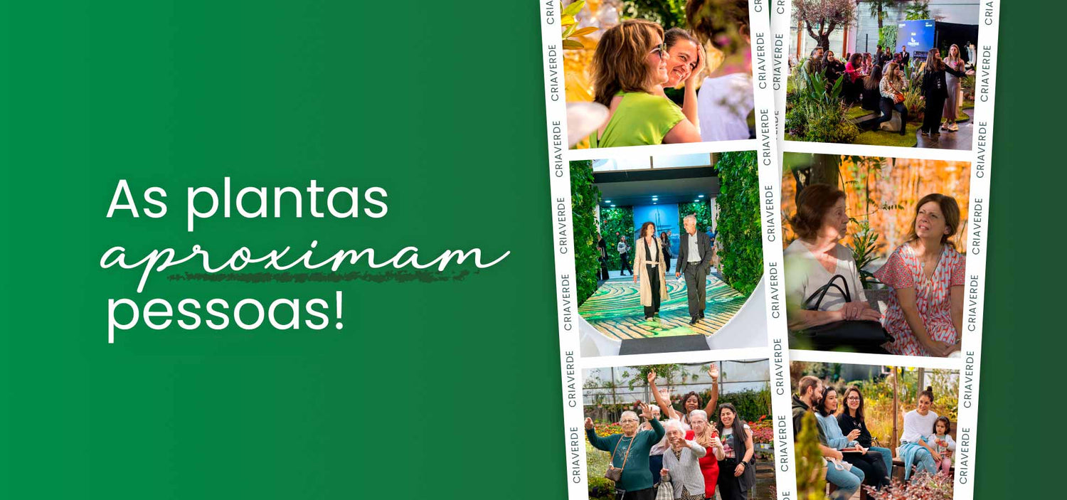 s-plantas-aproximam-pessoas-criaverde-2025-campanha