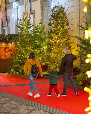 decoracao-natal-plantas-naturais-criaverde