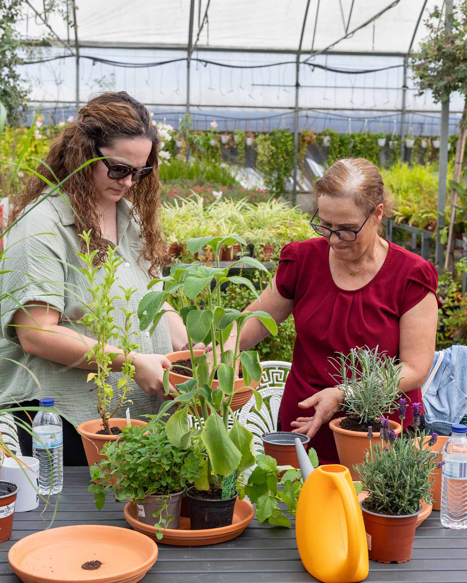 workshop-Farmacia-Verde-criaverde-plantas
