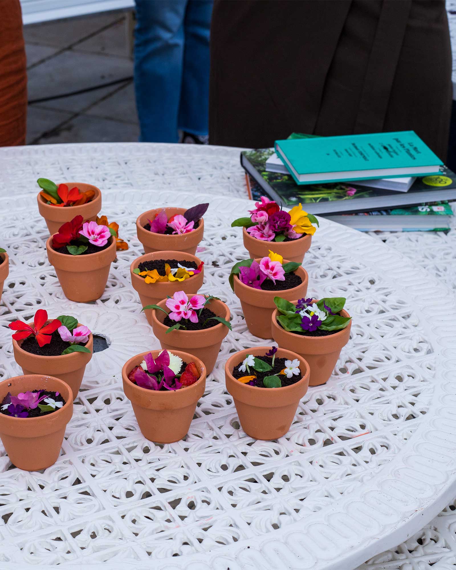 workshop-plantas-mesa-rosario-criaverde