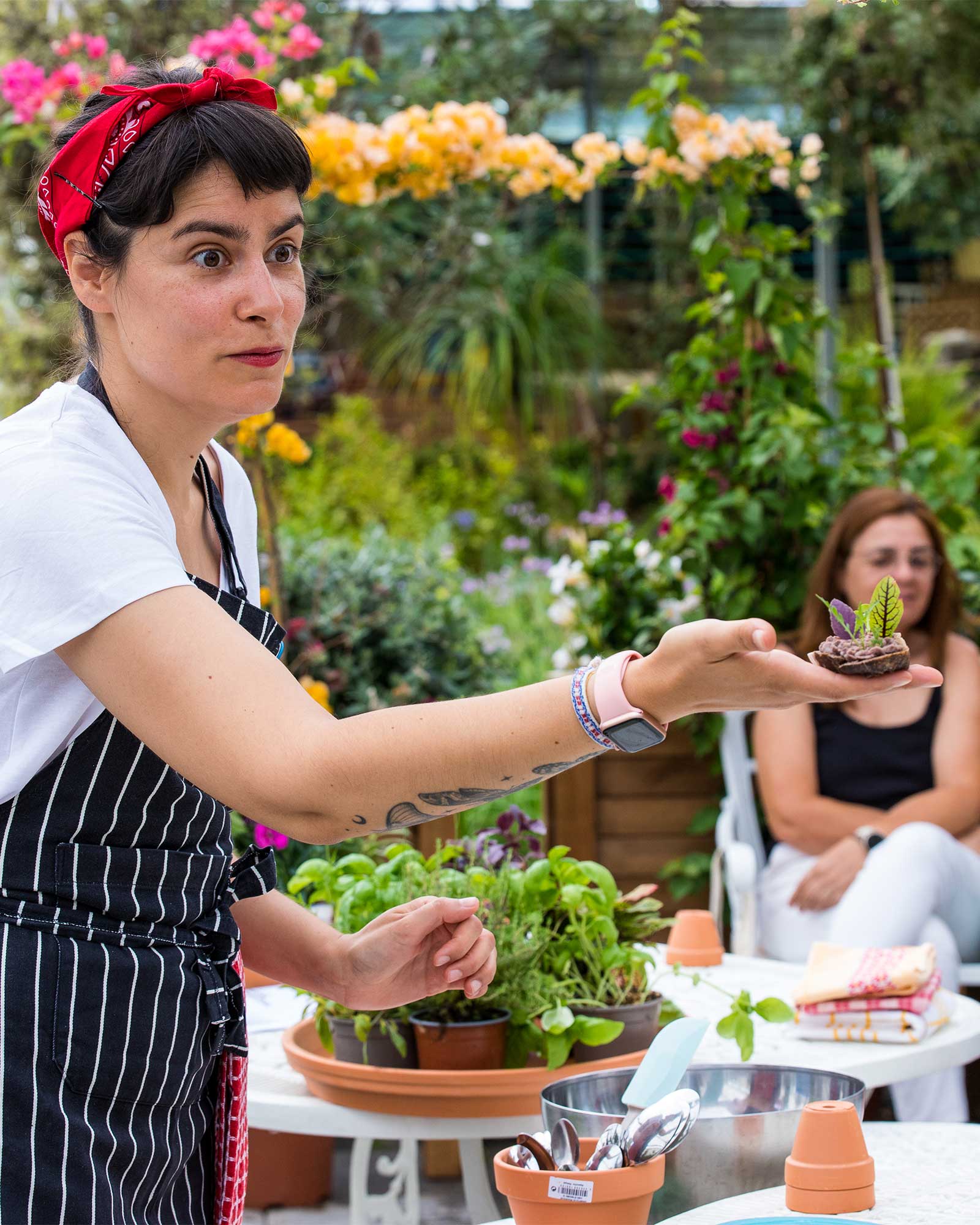 workshop-plantas-mesa-rosario-criaverde