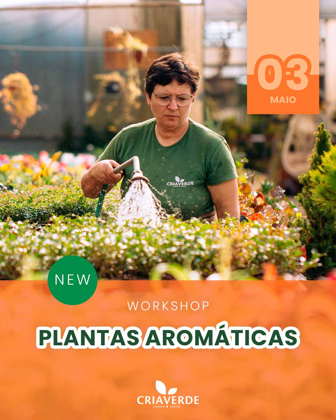 workshop-aromaticas-ervital-criaverde