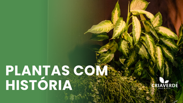Plantas com história