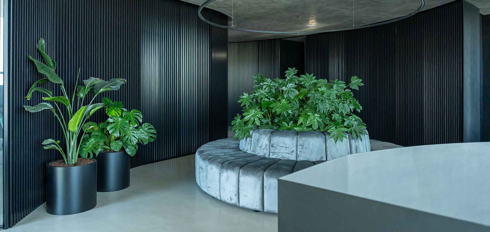 decoração com plantas para escritorios