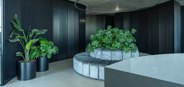 decoração com plantas para escritorios