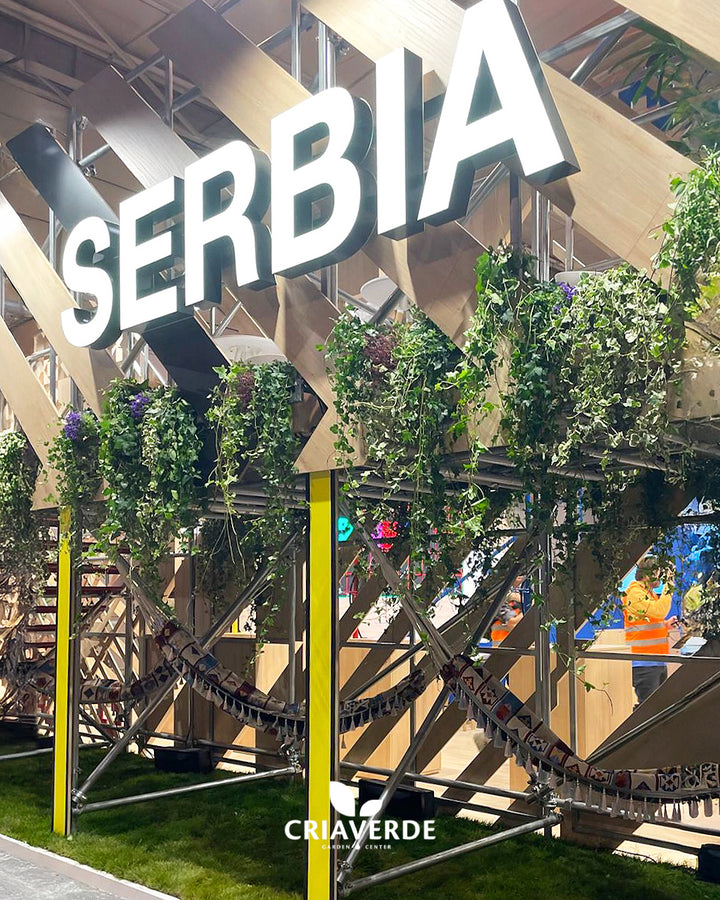 Websummit