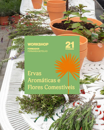 Workshop Ervas Aromáticas e Flores Comestíveis