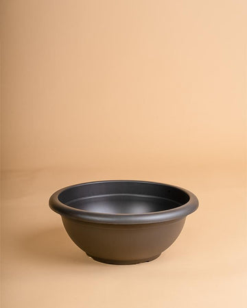 Taça venezia antracite | 30cm