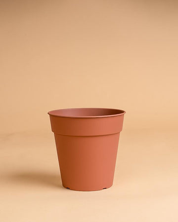Vaso madagascar terracota | 27cm