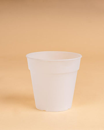 Vaso madagascar orquídea transparente | 19cm