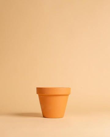 Vaso Barro standard 10cm