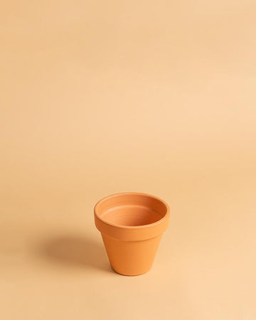 Vaso Barro standard 10cm