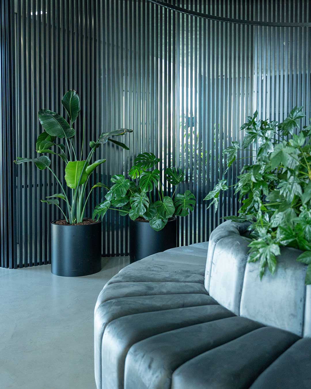Design-Interiores-Plantas-Workshops-Criaverde-2026