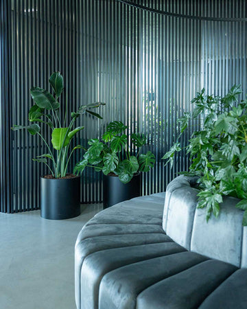 Design-Interiores-Plantas-Workshops-Criaverde-2026