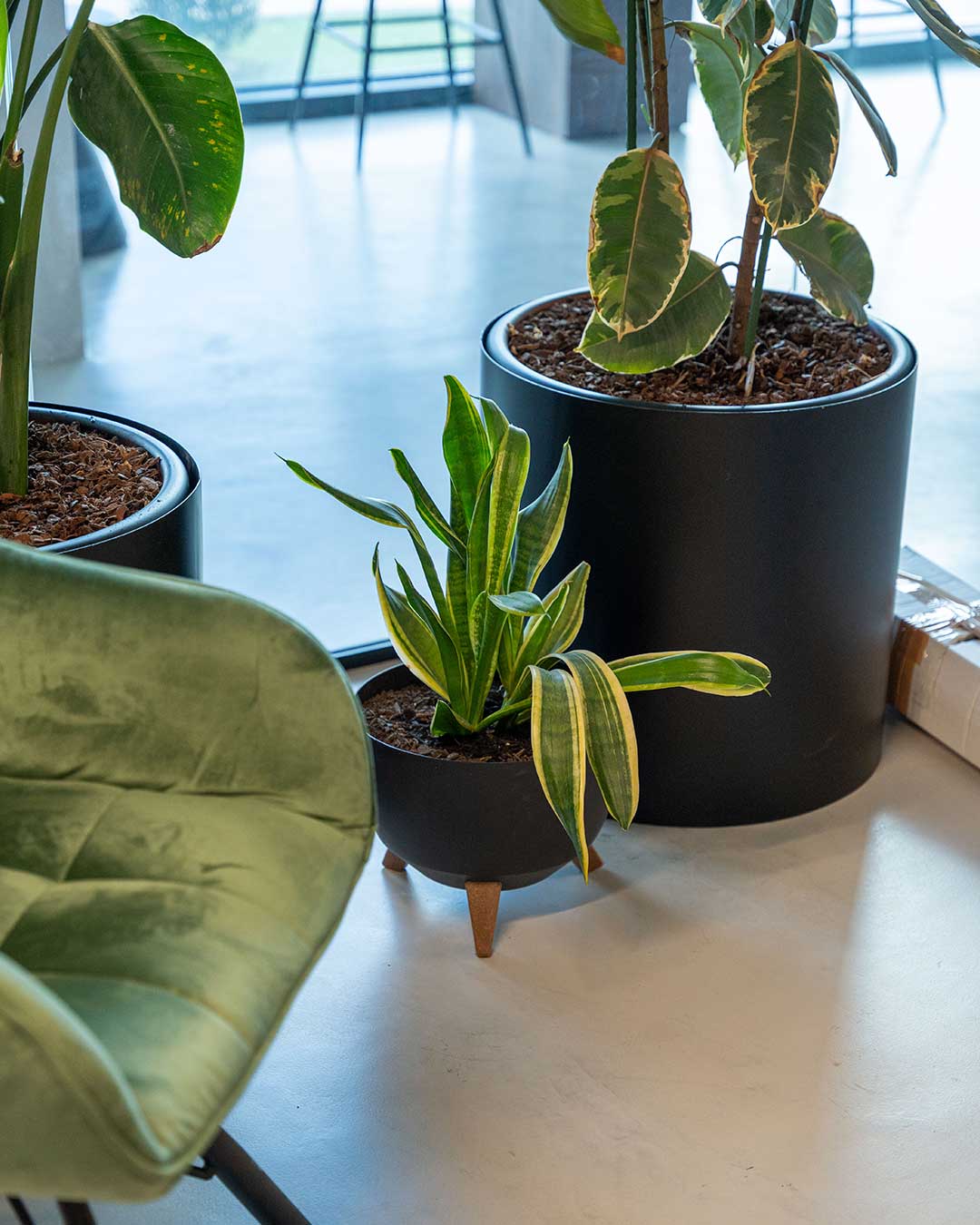 Design-Interiores-Plantas-Workshops-Criaverde-2026