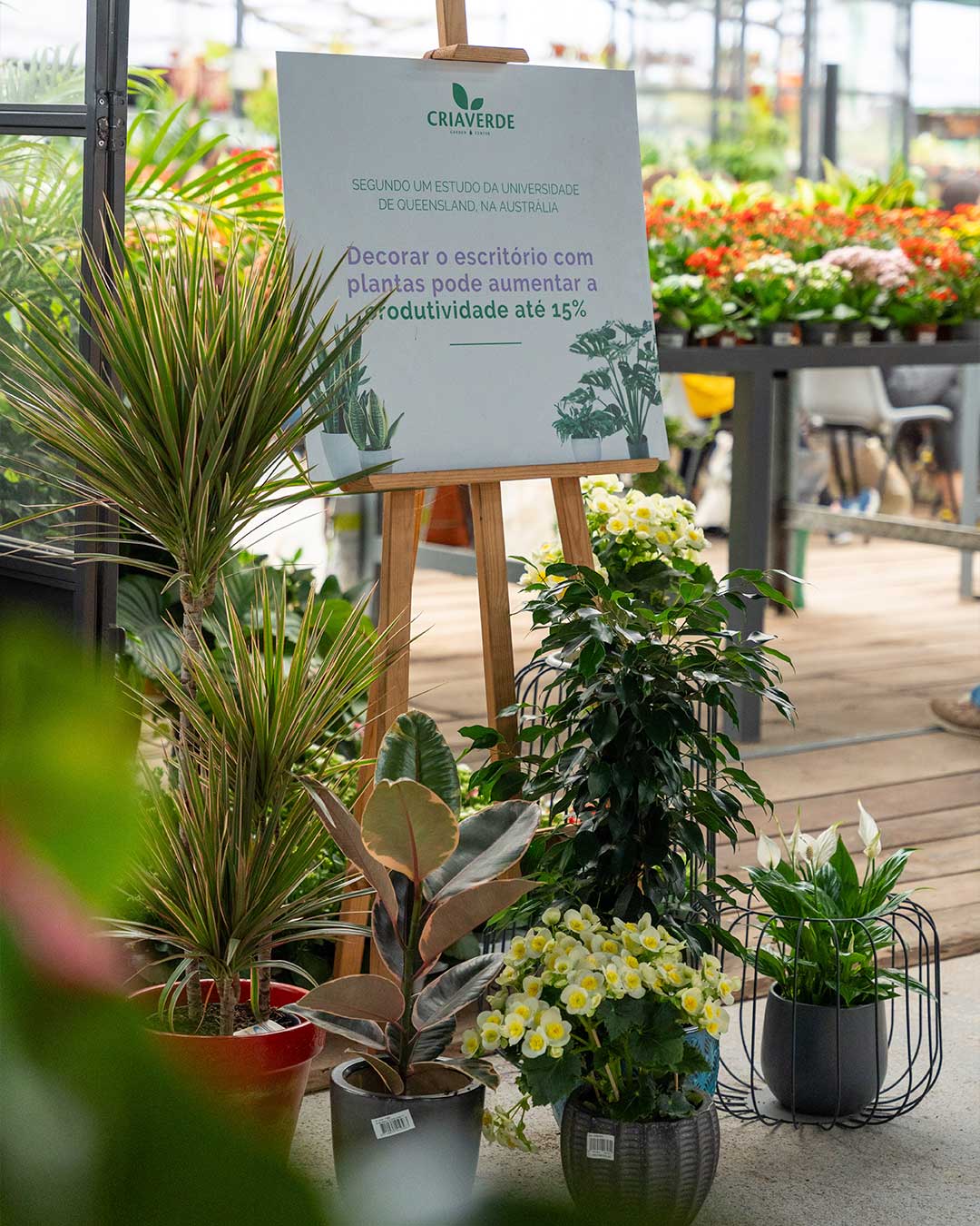 Design-Interiores-Plantas-Workshops-Criaverde-2026