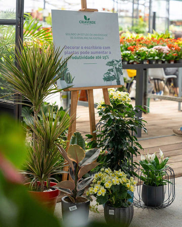 Design-Interiores-Plantas-Workshops-Criaverde-2026