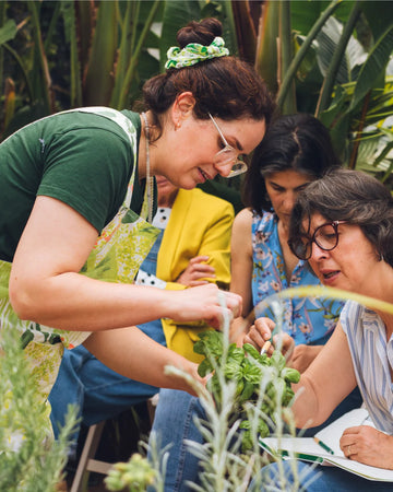 Workshop_Repelentes_Caseiros_e_Naturais_-_criaverde