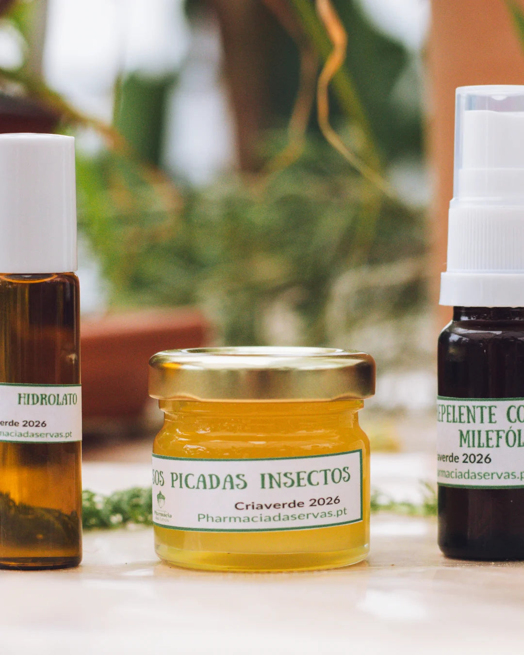 Workshop_Repelentes_Caseiros_e_Naturais_criaverde