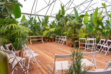 aluguer-espaco-evento-palestra-workshop-viseu-plantas