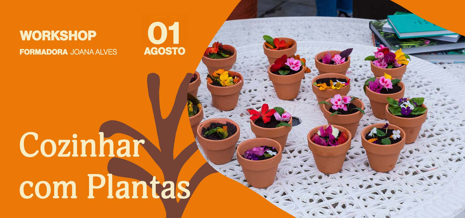 Workshop-Cozinhar-Plantas-workshop-plantas-criaverde