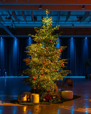decoracao-arvores-natal-empresa-criaverde-eventos-pinheiros