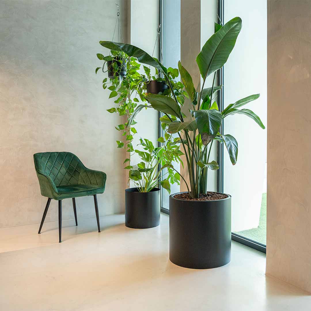 decoracao-escritorios-plantas-empresas-criaverde