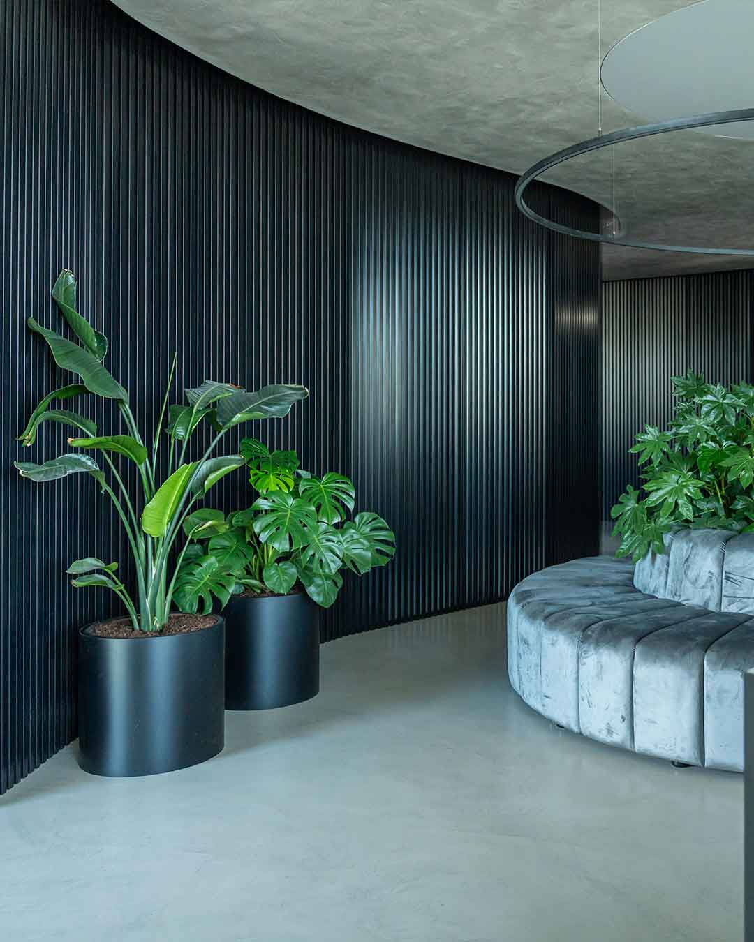 decoracao-interiores-plantas-empresas-criaverde