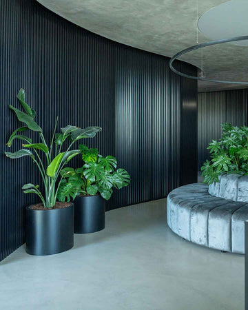 decoracao-interiores-plantas-empresas-criaverde