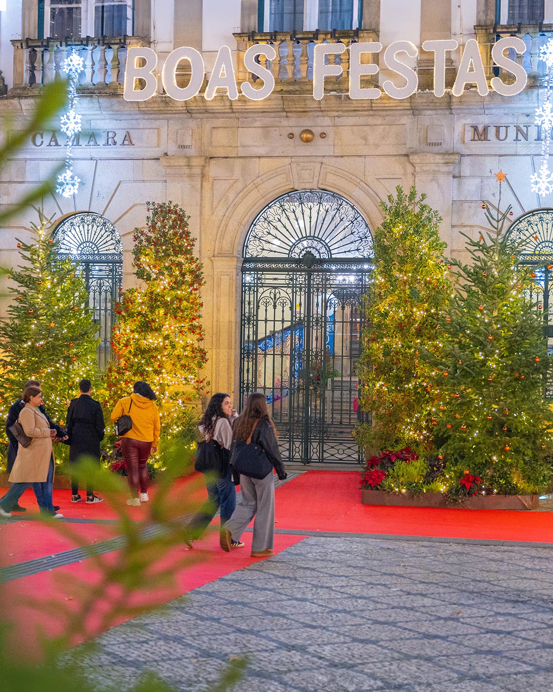 decoracao-plantas-municipio-viseu-criaverde