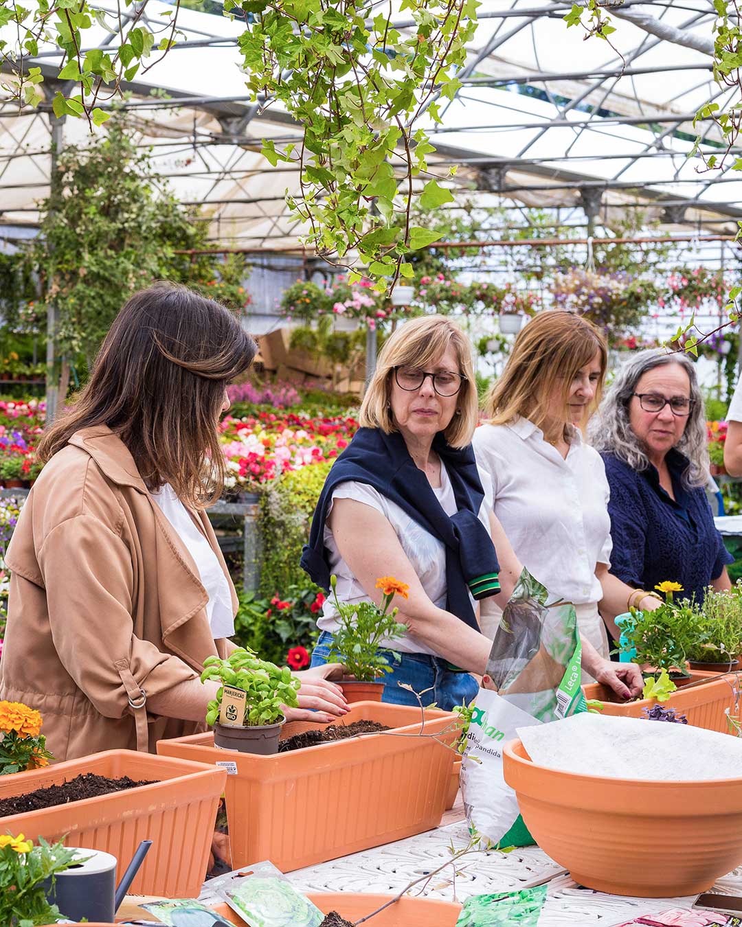 propagacao-sementeira-criaverde-green-passion