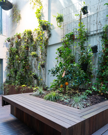 jardins-verticais-plantas-hotel-porto-criaverde
