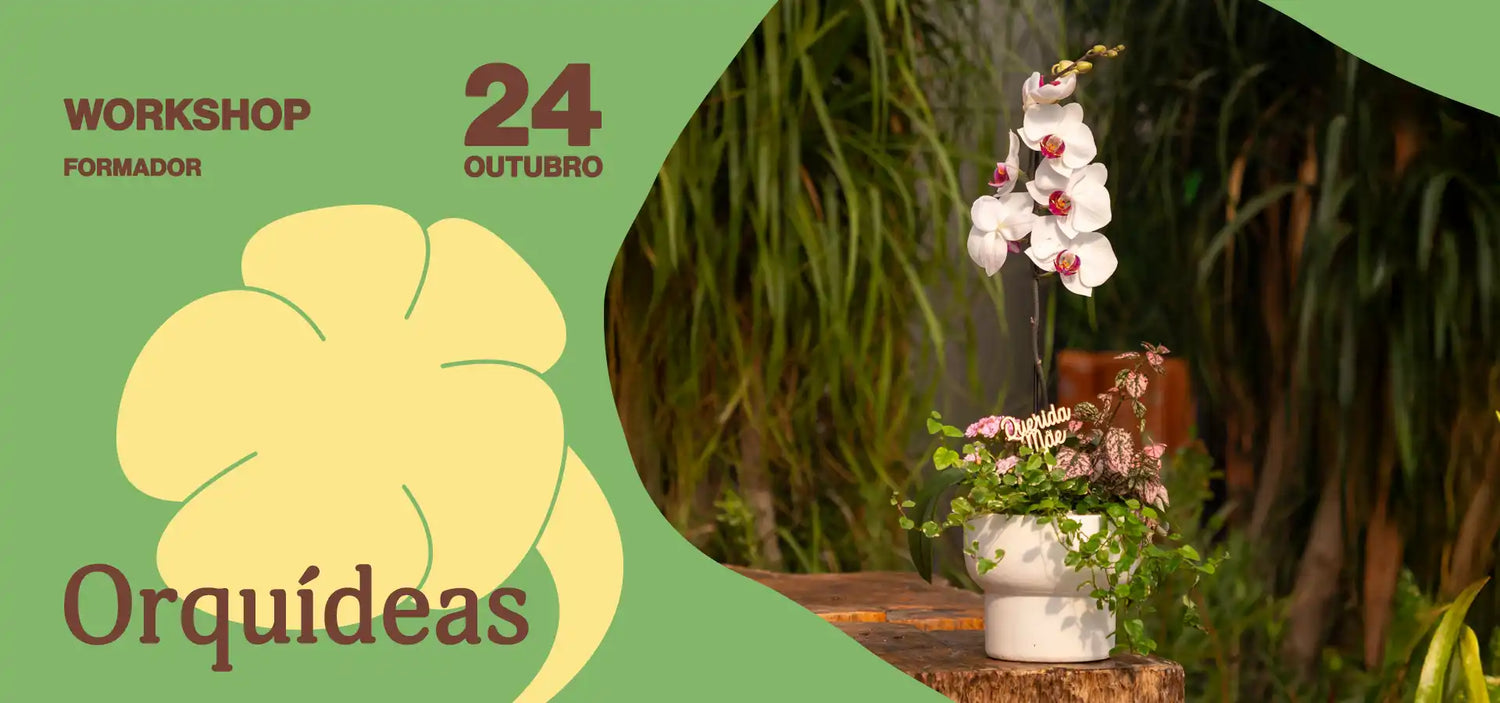workshop_orquideas_criaverde_viseu_evento