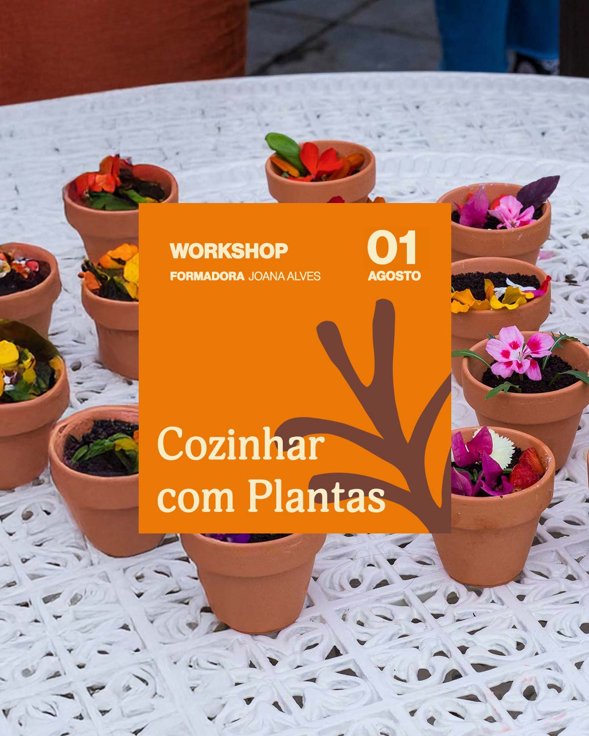Workshop-Cozinhar-Plantas-workshop-plantas-criaverde