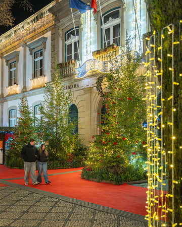 Decoração de Natal com Plantas Criaverde